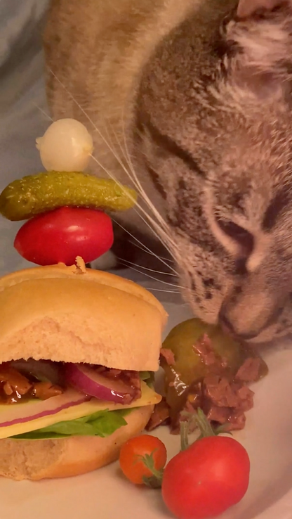 Custom Song (and Video!*) For Your Pet