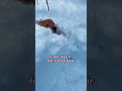 Gift a Custom Pet Song (and Video*)!